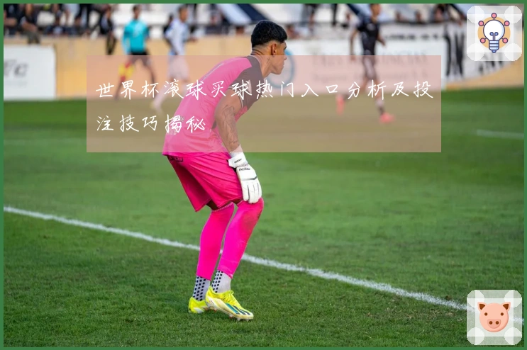 世界杯滚球买球热门入口分析及投注技巧揭秘