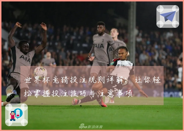 世界杯竞猜投注规则详解：让你轻松掌握投注技巧与注意事项