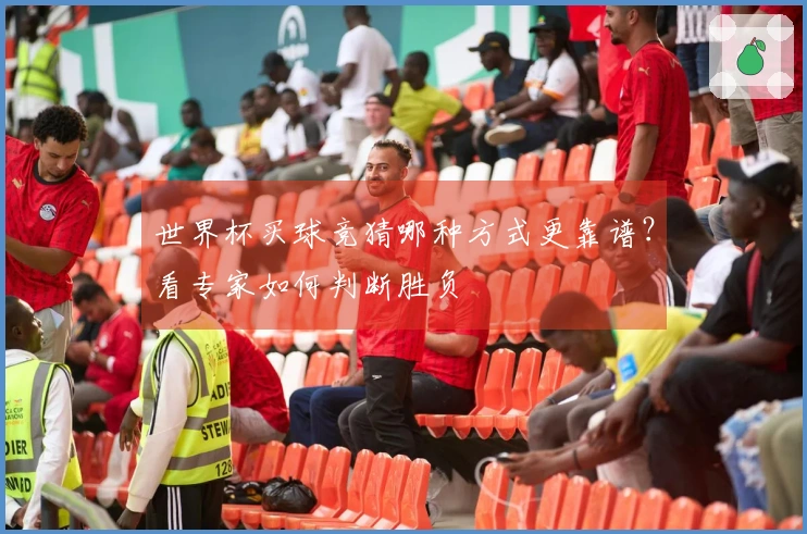 世界杯买球竞猜哪种方式更靠谱？看专家如何判断胜负