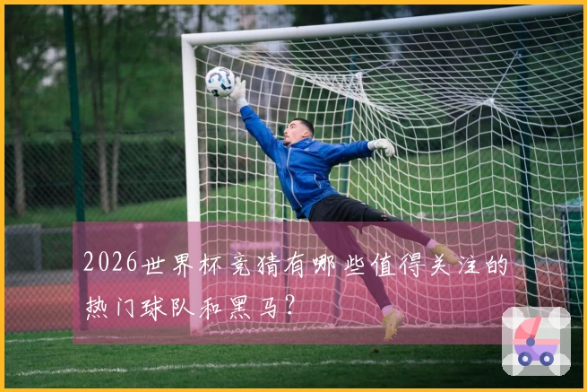 2026世界杯竞猜有哪些值得关注的热门球队和黑马？