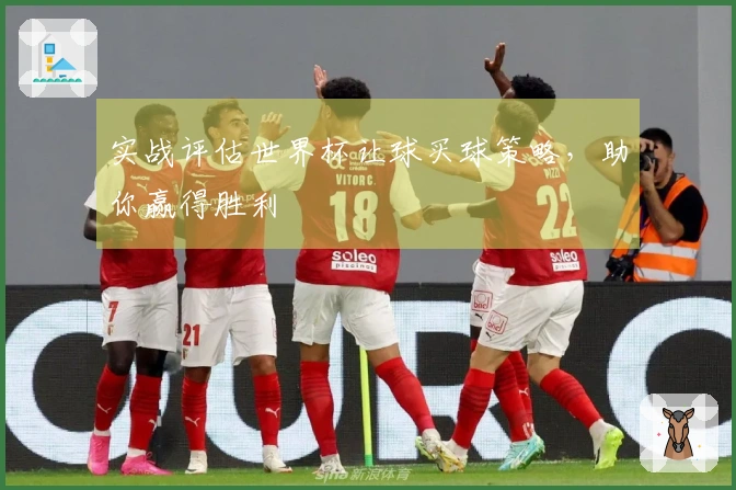 实战评估世界杯让球买球策略，助你赢得胜利