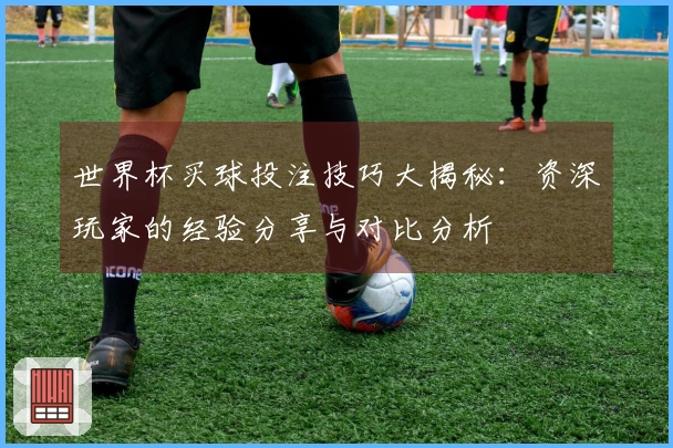 世界杯买球投注技巧大揭秘：资深玩家的经验分享与对比分析