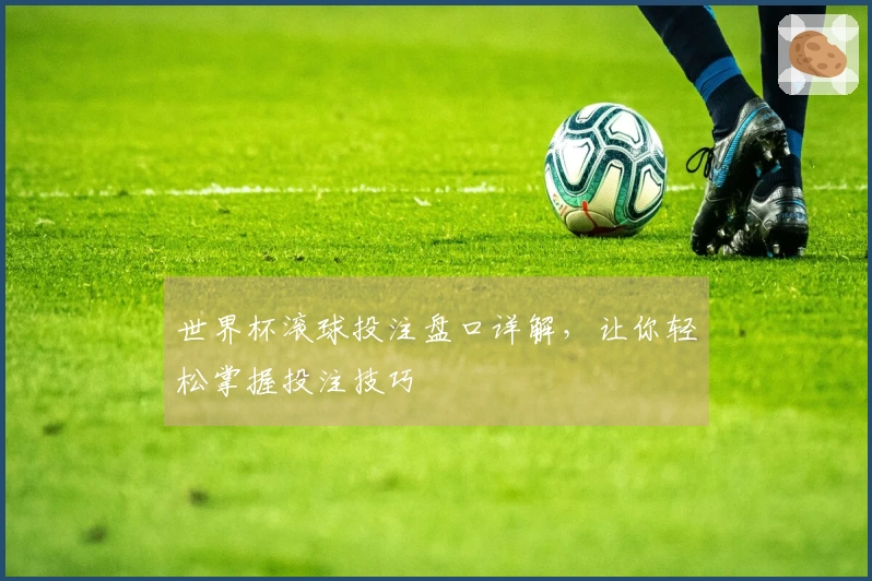 世界杯滚球投注盘口详解，让你轻松掌握投注技巧