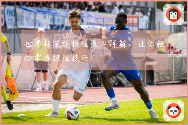 世界杯滚球投注盘口详解，让你轻松掌握投注技巧