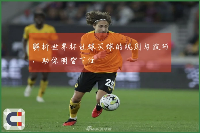 解析世界杯让球买球的规则与技巧，助你明智下注